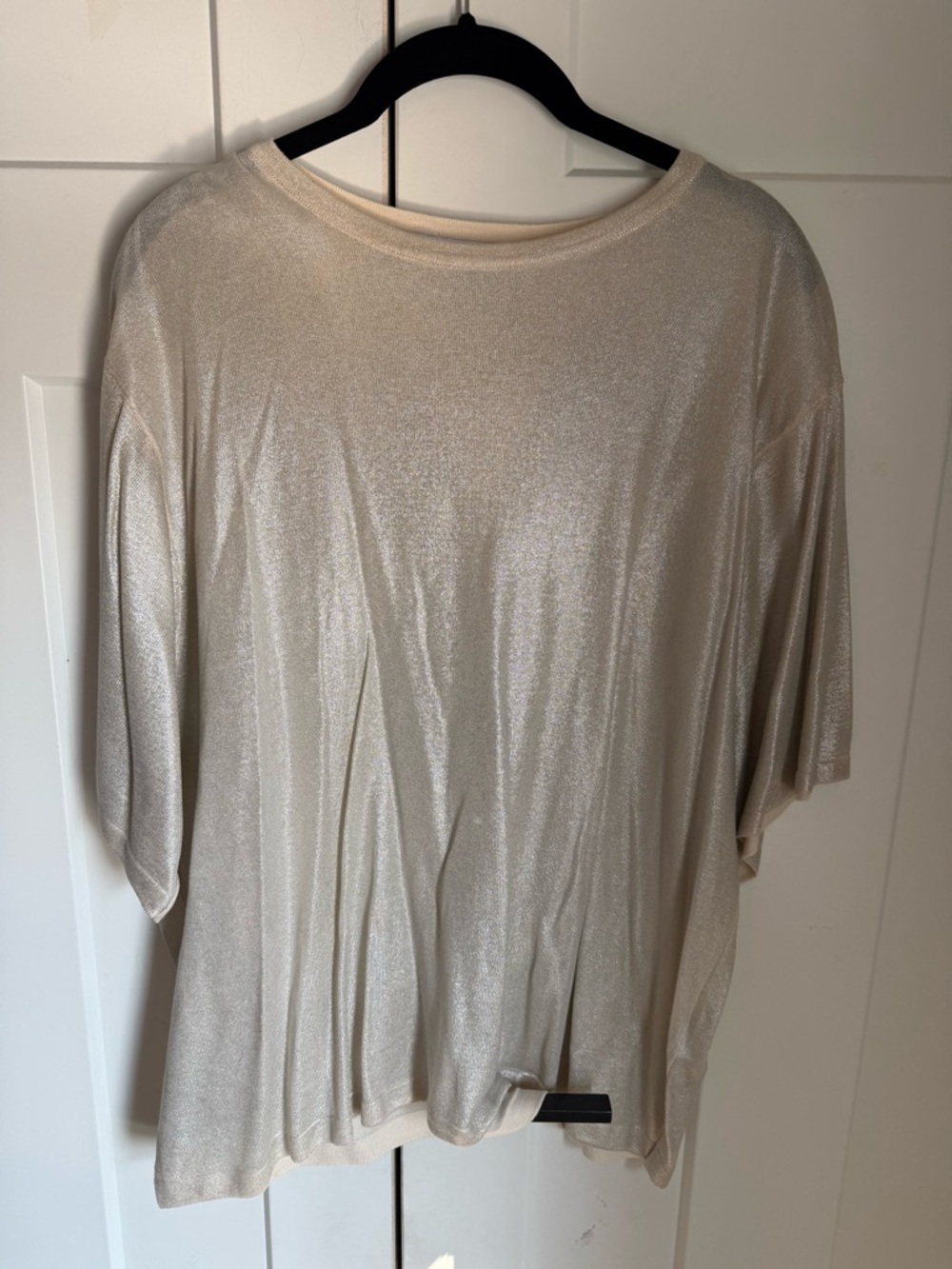 Zara Metallic Cream Short Sleeve Tee, nwot never worn.